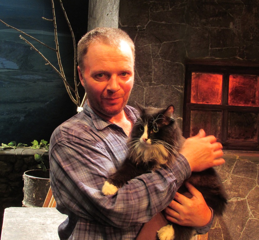 Театр «У Моста» потерял в Москве кота, играющего в спектакле «Лейтенант с Инишмора»