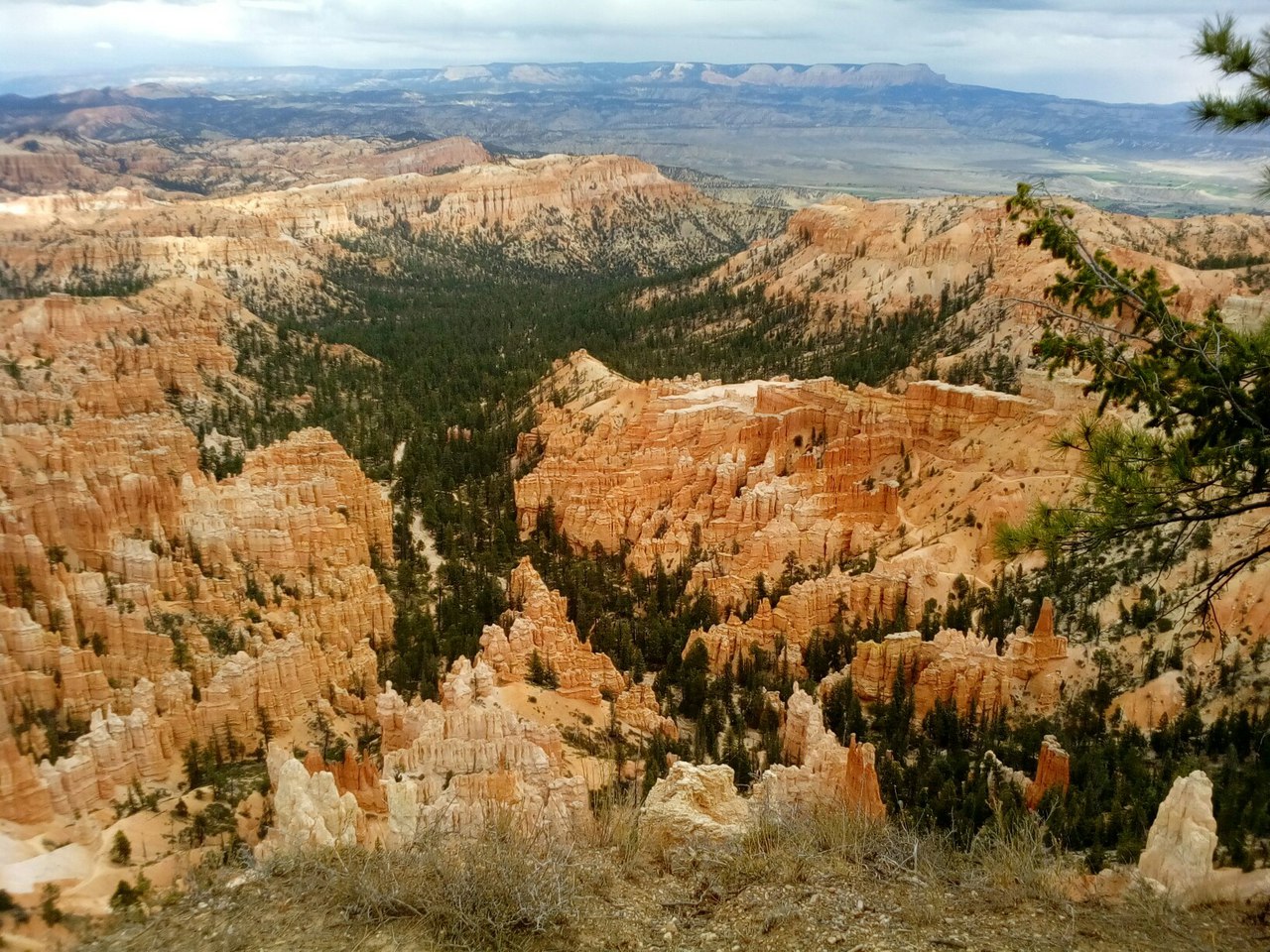 Команда пермского путешественника Андрея Королева продолжает экспедицию по США