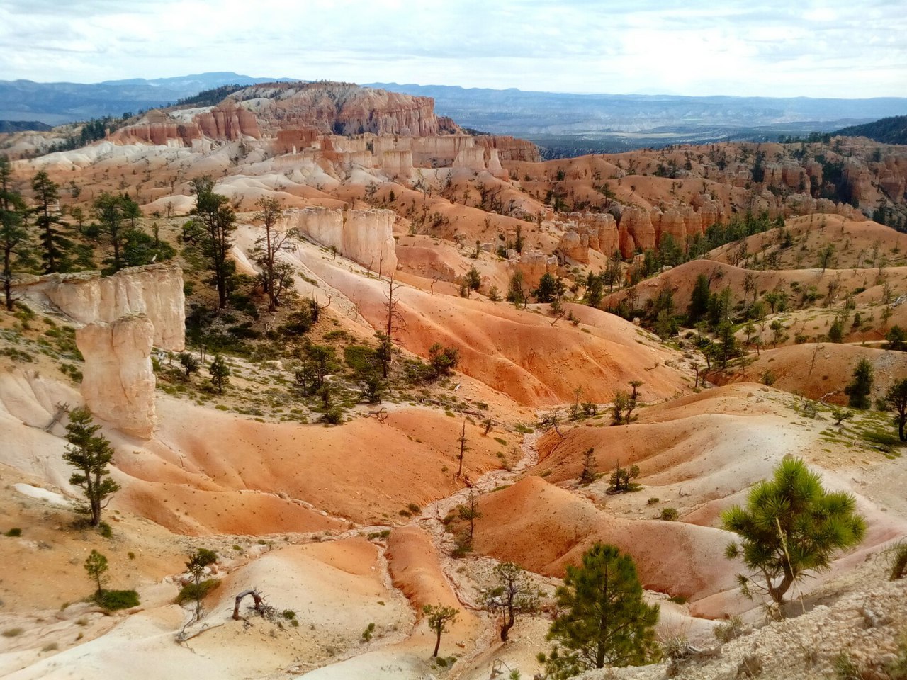 Команда пермского путешественника Андрея Королева продолжает экспедицию по США