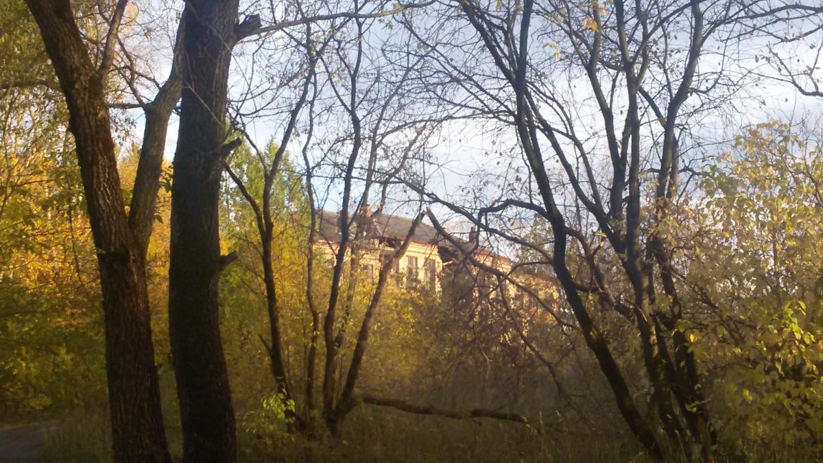 В Березниках частично обрушилось заброшенное здание школы