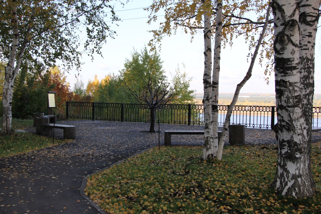 В Перми с «чудо-дерева» в сквере Мотовилихинского района вандалы обломали яблоки