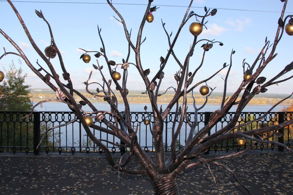 В Перми с «чудо-дерева» в сквере Мотовилихинского района вандалы обломали яблоки