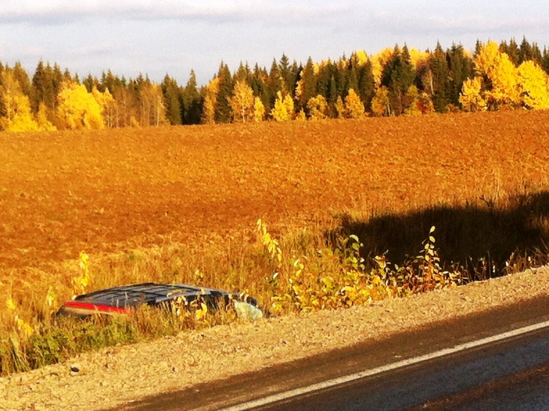 ​В Прикамье произошло массовое ДТП: два человека погибли