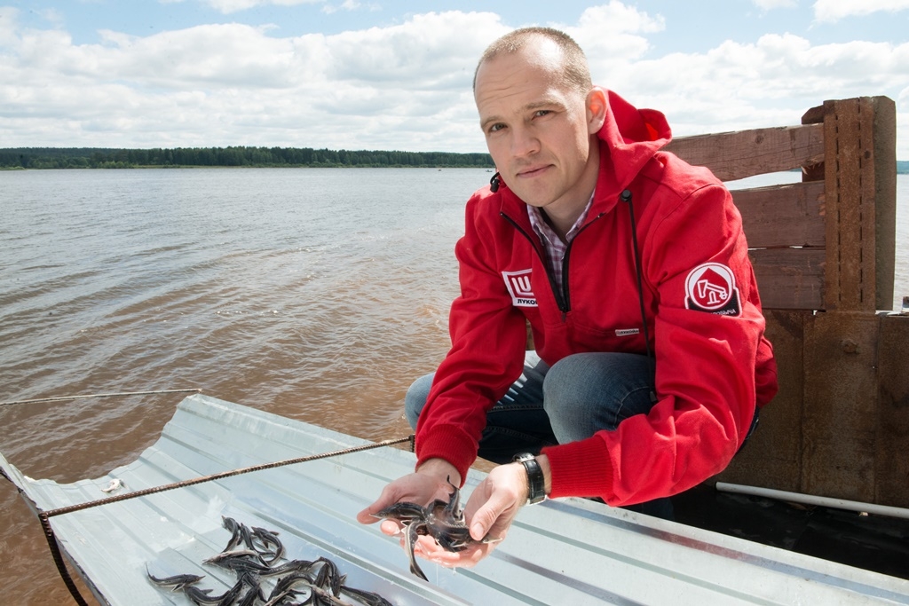 В 2016 году «Лукойл» выпустил в водоемы Прикамья 360 тысяч мальков ценных видов рыб