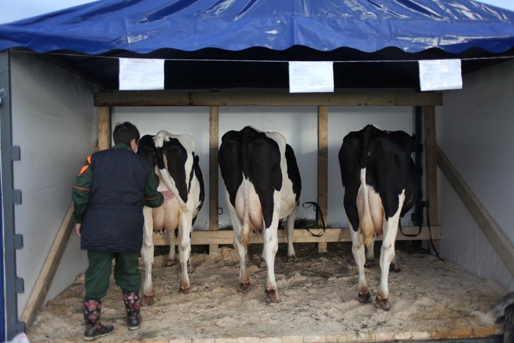 В Прикамье из-за санитарных нарушений закрыто кафе «Казачья застава». Вспоминаем случаи, когда товары и услуги угрожали жизни и здоровью пермяков