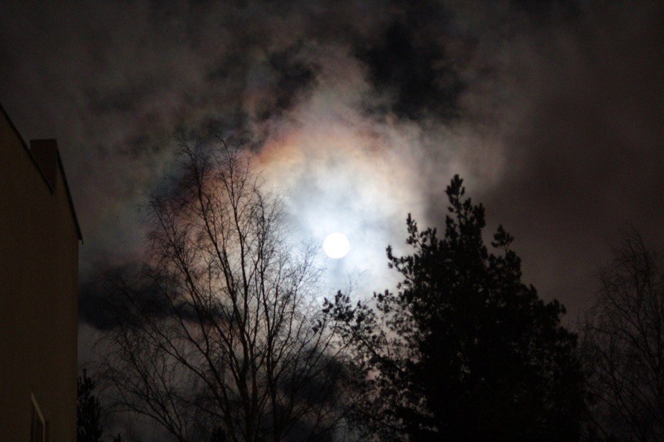 Просто супер. Самые яркие кадры суперлуния, сделанные пользователями соцсетей