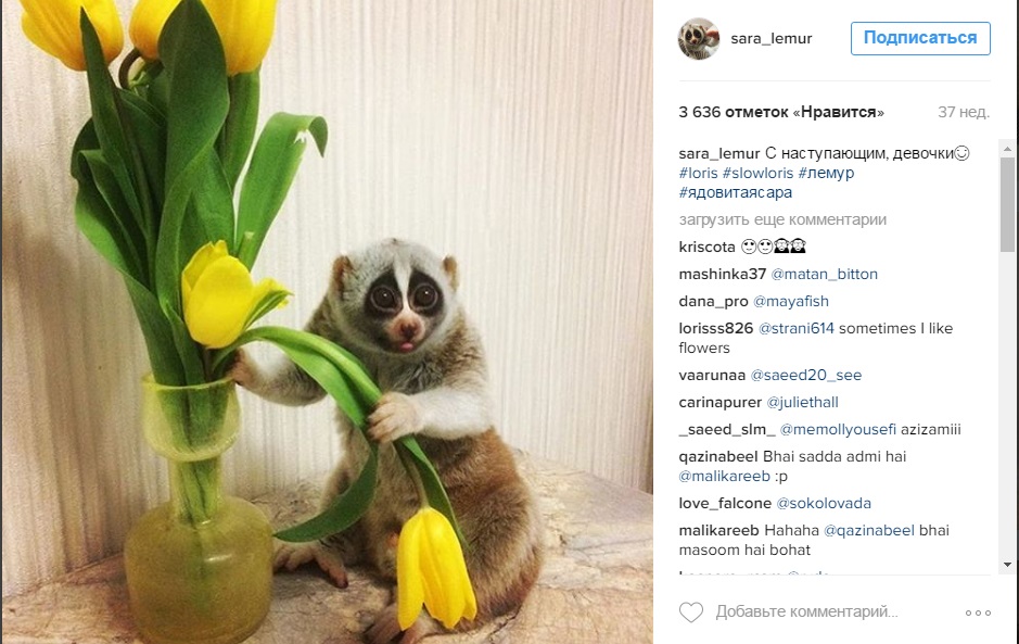 Пермский инстаграммный стиль