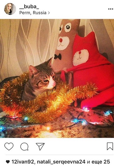 Мишура, лапы и хвост. Собрали фото пермяков, где к новому году готовятся их котики