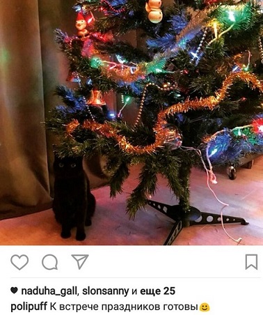 Мишура, лапы и хвост. Собрали фото пермяков, где к новому году готовятся их котики