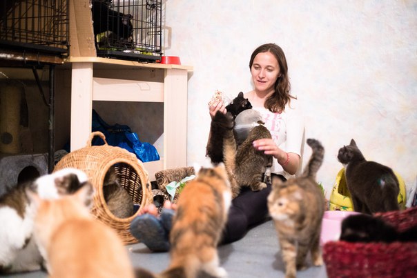 Хобот, хлеб, кедр