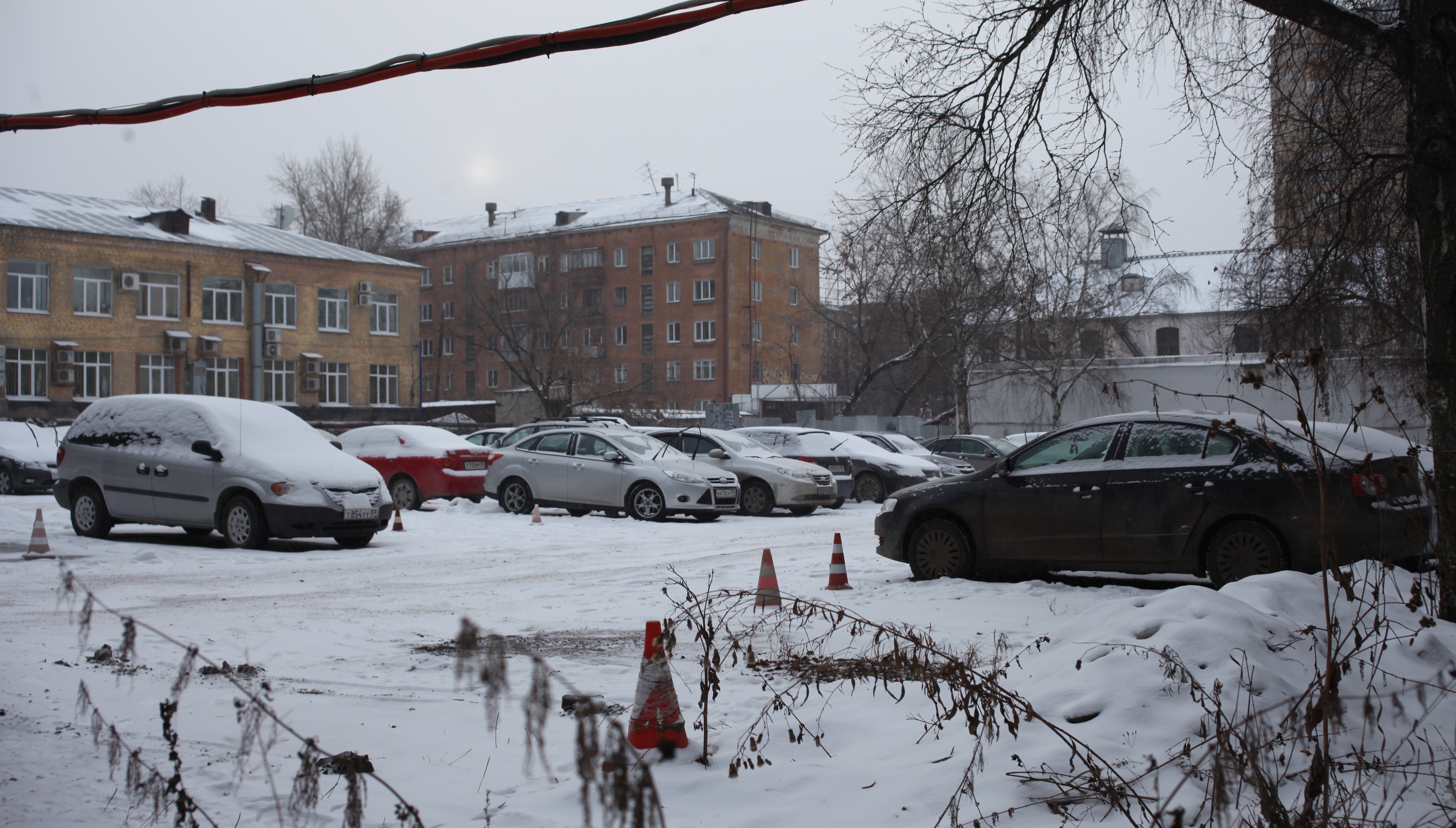 Борьба с грибами