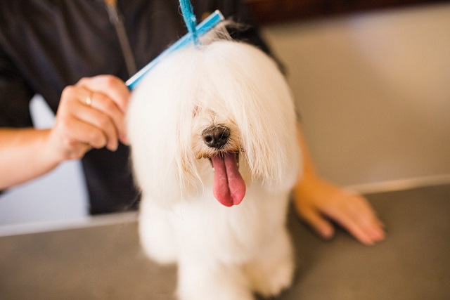 Борода спасет мир. Открытие барбершопов – новый городской тренд этого сезона