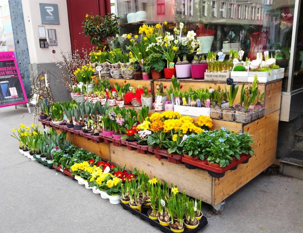 Ищите женщине