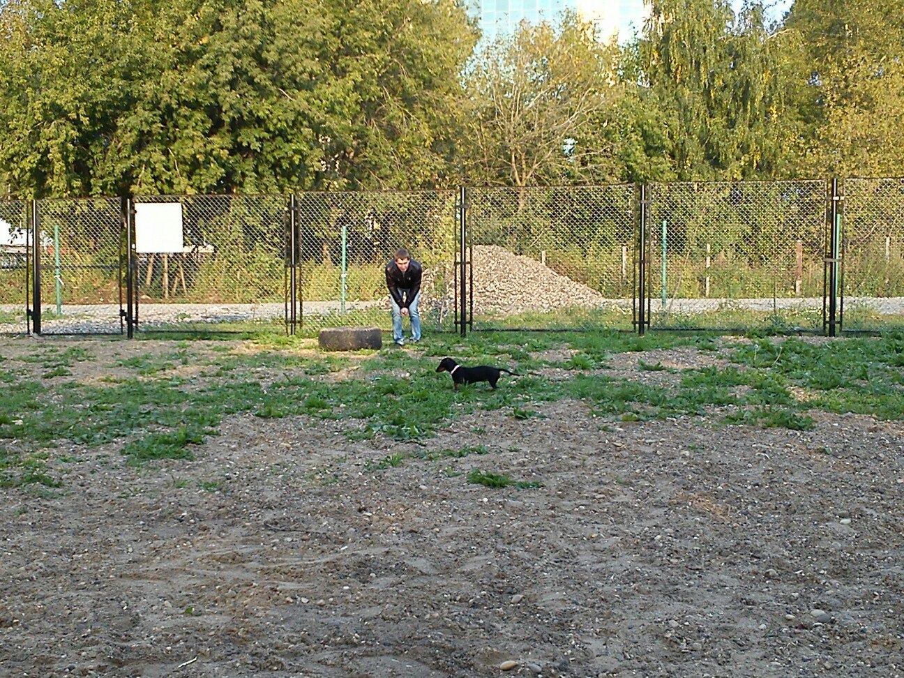 В Индустриальном районе Перми появилась площадка для дрессировки собак