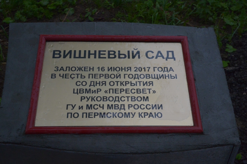 В Перми появился вишневый сад