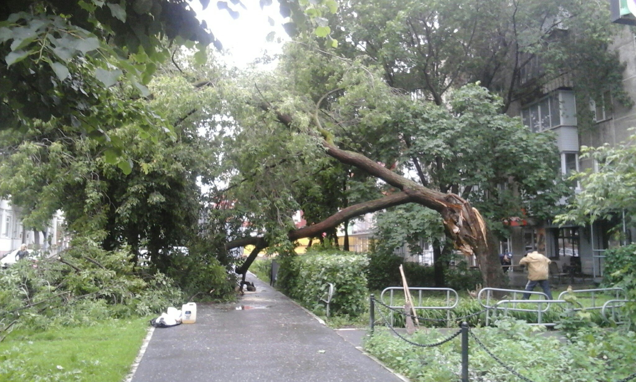 ​Сезон дождей