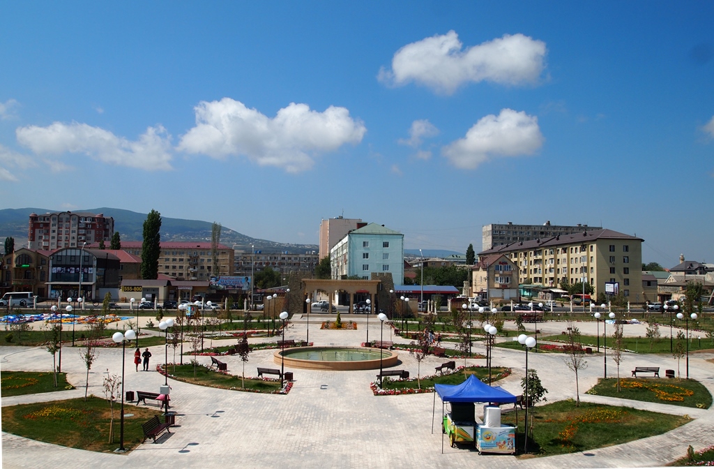 Дроны над цитаделью