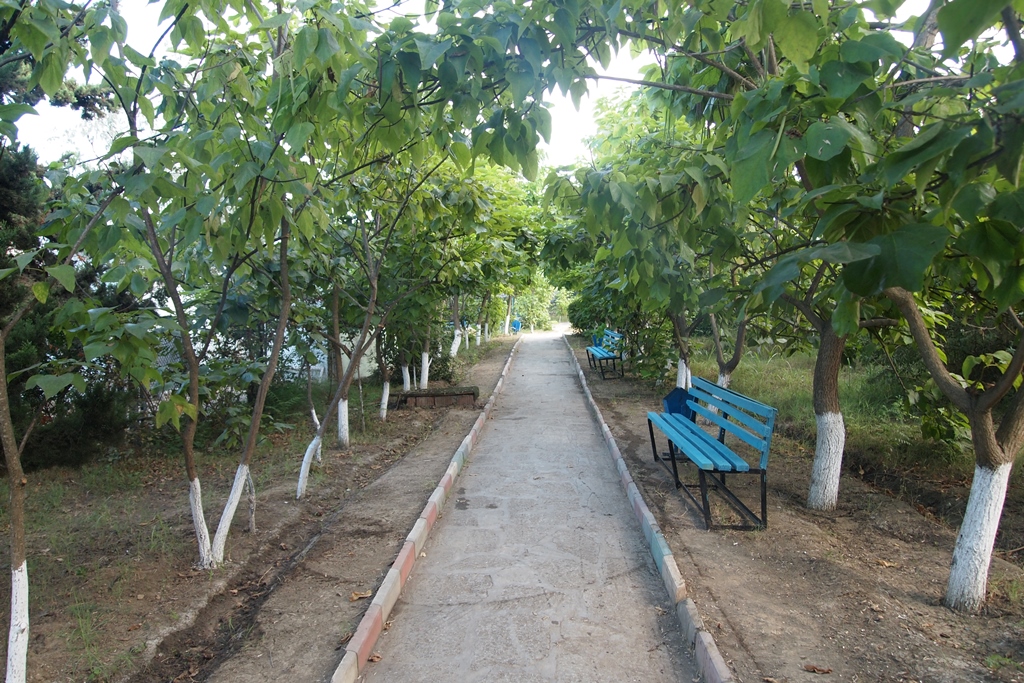 Дроны над цитаделью