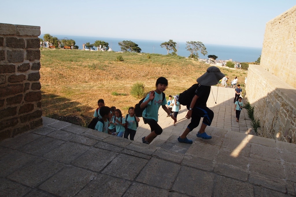 Дроны над цитаделью