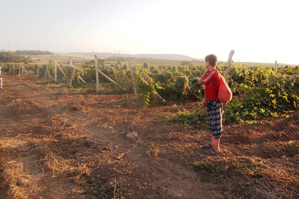 Дроны над цитаделью