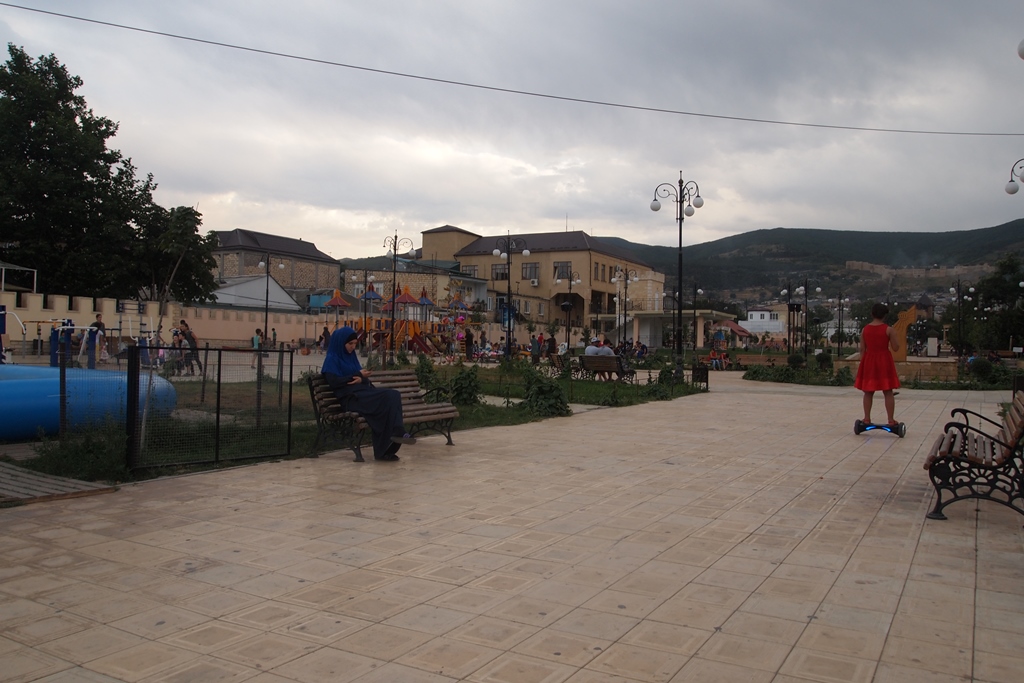 Дроны над цитаделью