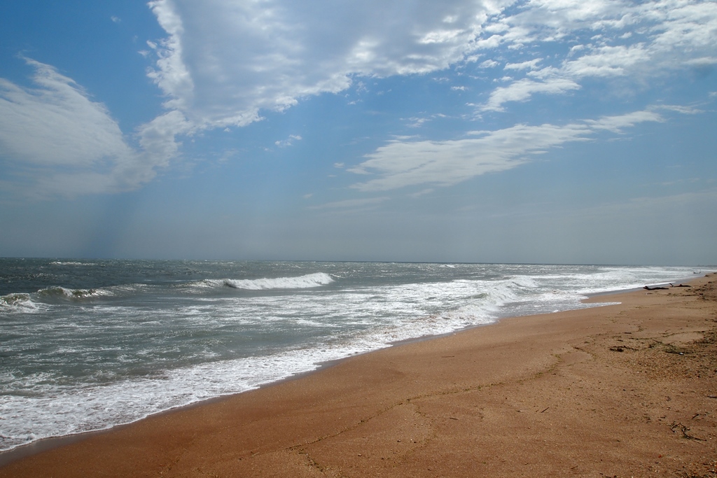 Дроны над цитаделью