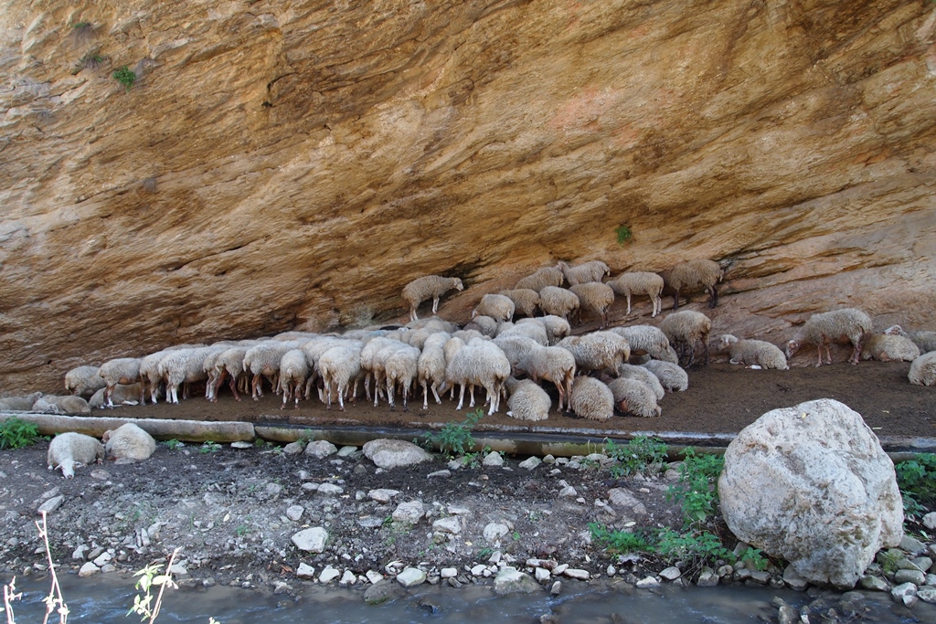 Дроны над цитаделью