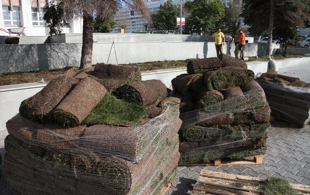 Как мы ждали президента