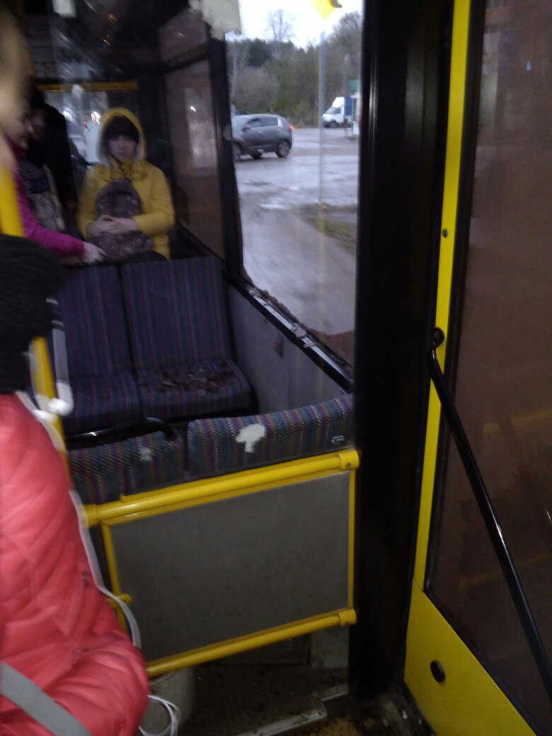 В окне автобуса поплыл