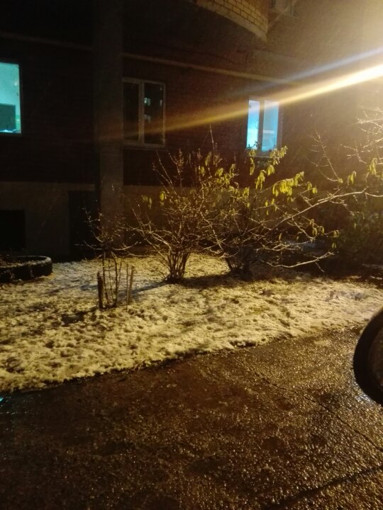 Продолжается похолодание. В Прикамье выпал первый снег