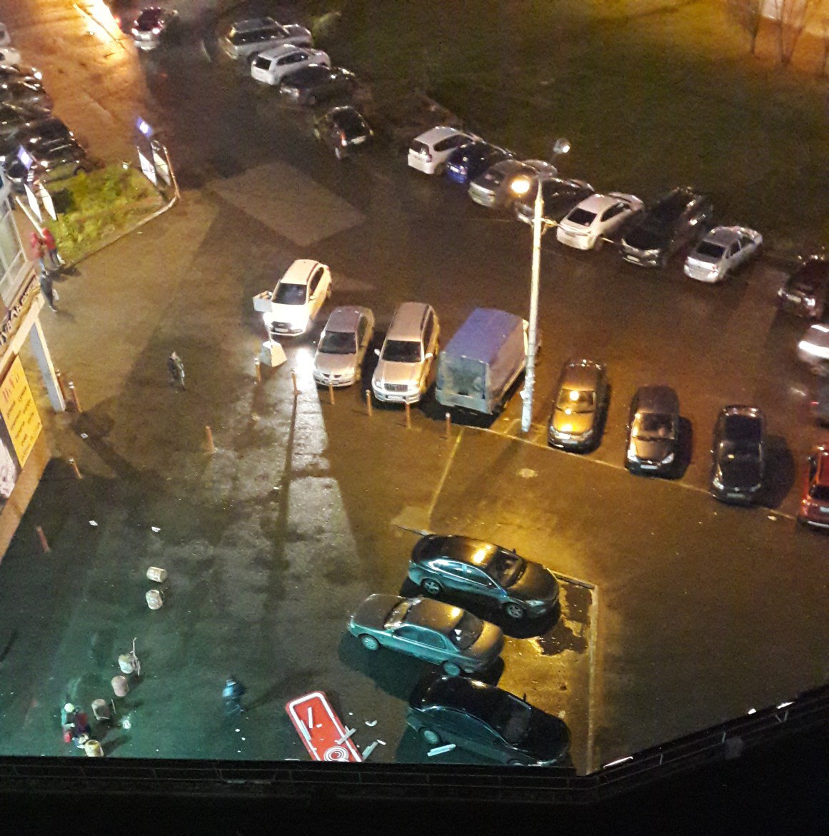 В Перми из-за шквалистого ветра на автомобиль упало дерево