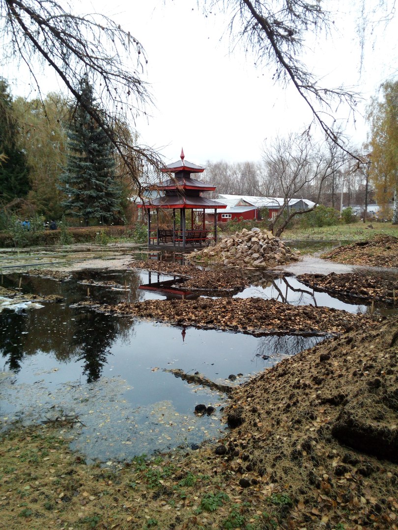 В Пермском университете затопило ботсад, ремонтные работы продолжаются