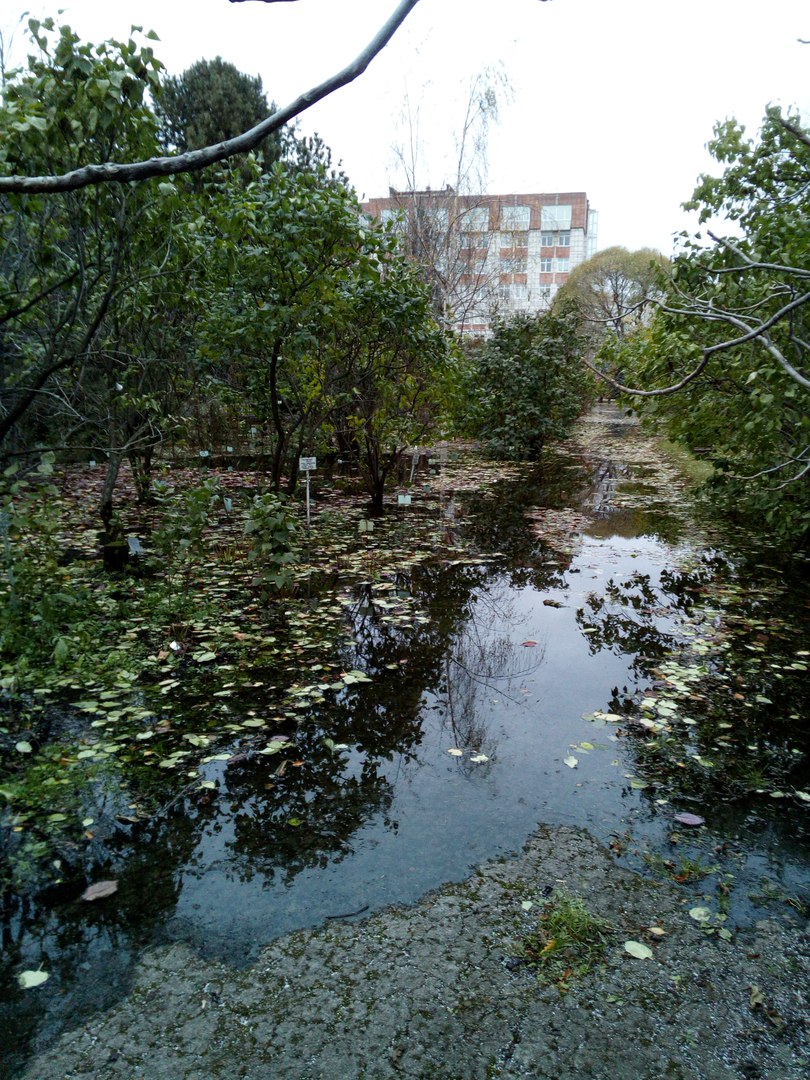 В Пермском университете затопило ботсад, ремонтные работы продолжаются