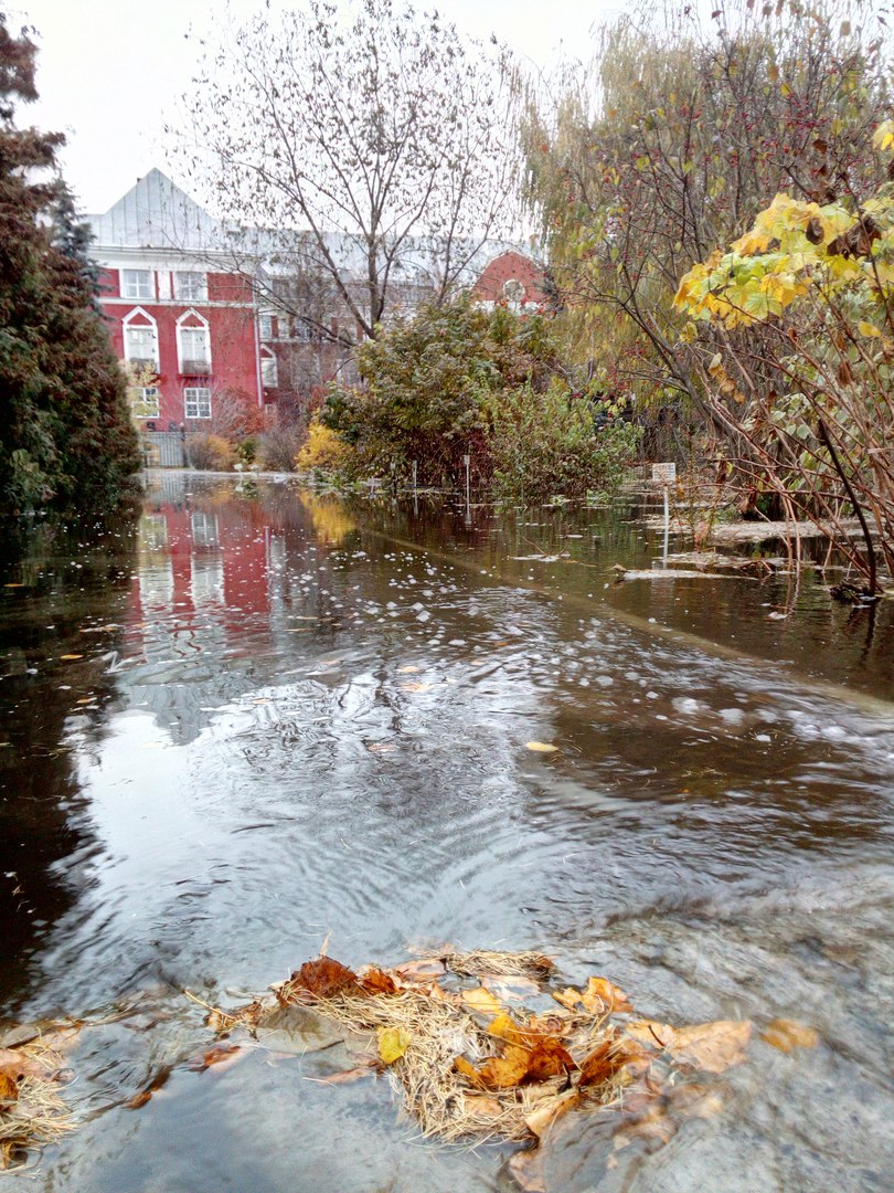 В Пермском университете затопило ботсад, ремонтные работы продолжаются