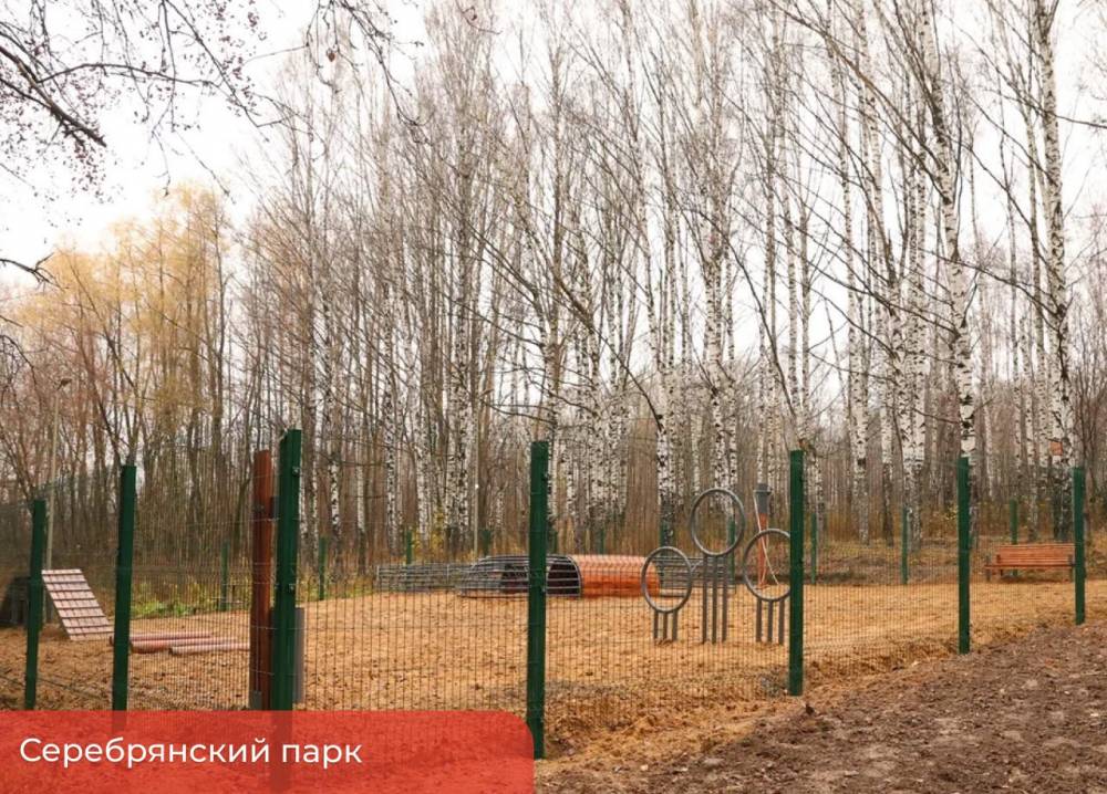 В Серебрянском парке ведутся работы по озеленению и строительству двух дождевых садов