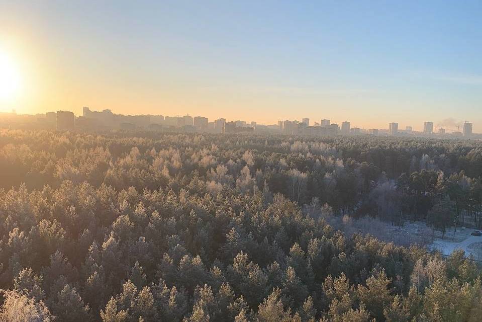 ​На неделе в Пермском крае ожидается умеренно морозная погода без осадков