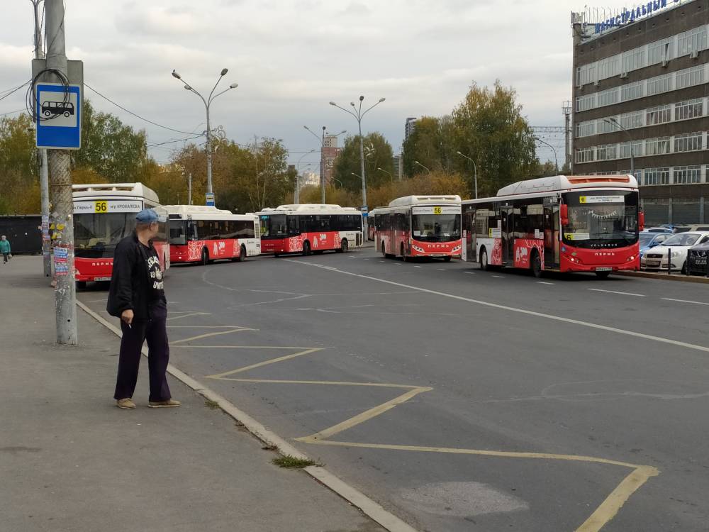 В Перми городской транспорт перейдет на летнее расписание с 1 июня