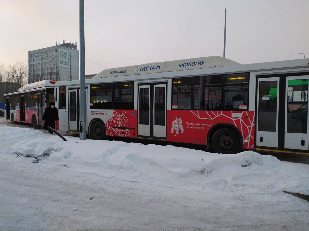 ​Часть автобусов Перми начнут обозначать буквой «К»