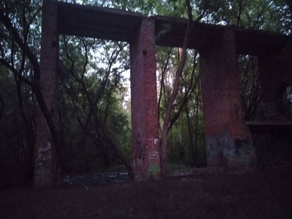 В Перми за 1,2 млн рублей демонтируют ворота недостроенного зоопарка