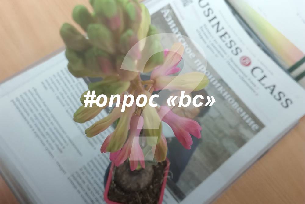 Как вырастить успешную идею?