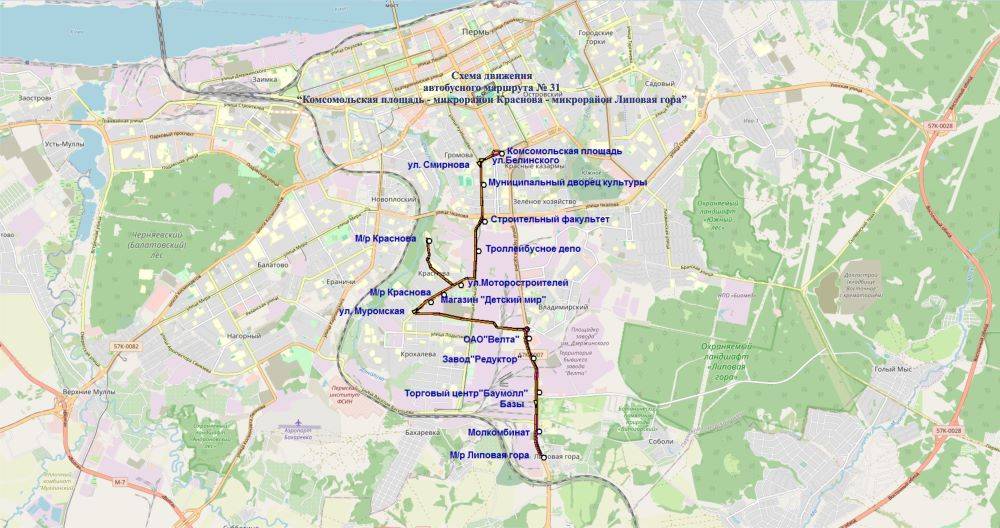 В Перми ищут перевозчиков для обслуживания новых автобусных маршрутов взамен маршрутного такси
