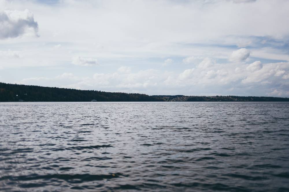 ​В Пермском крае ищут утонувшего в реке 22-летнего молодого человека