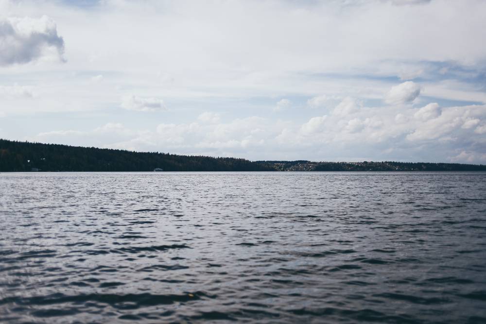 В Пермском крае осудили водителя за гибель двух женщин в реке