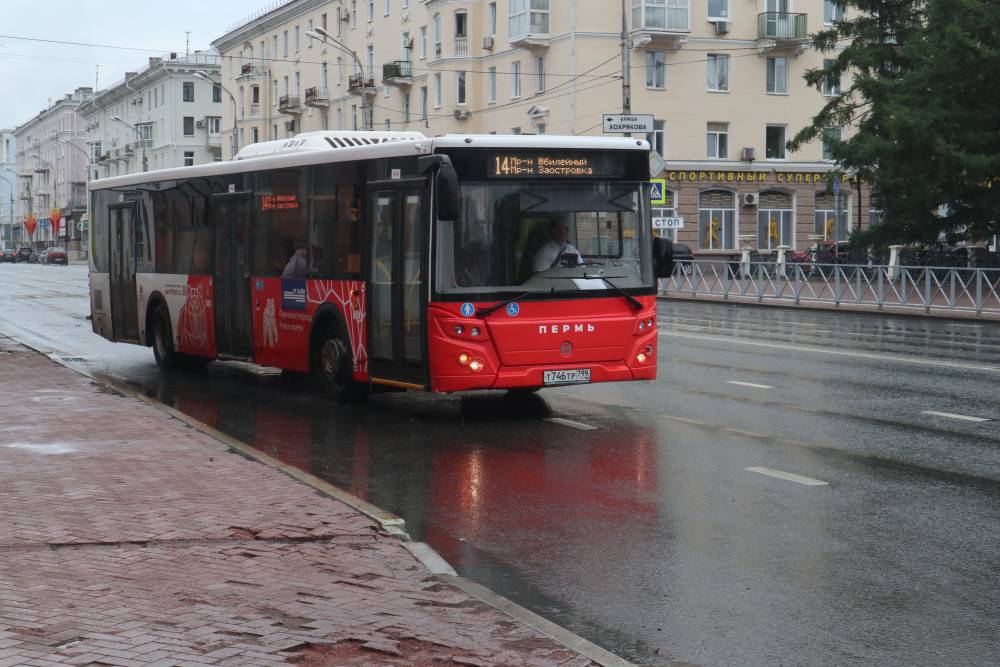 Движение автобусов в Перми 31 декабря прекратится в 23.00