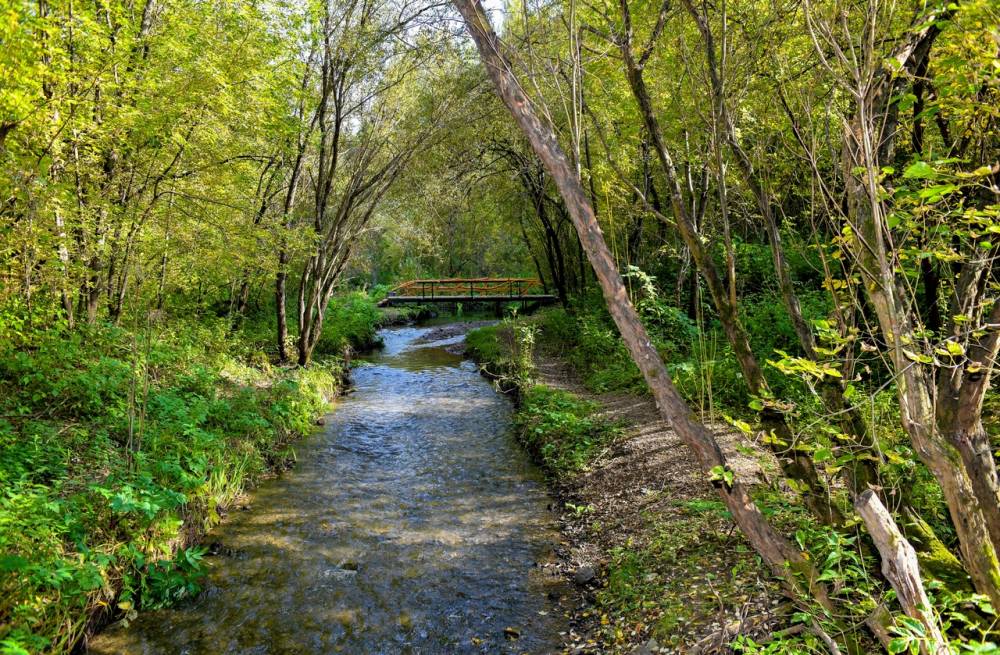 Зеленый цвет воды в реках Перми связан с проверкой целостности тепломагистралей