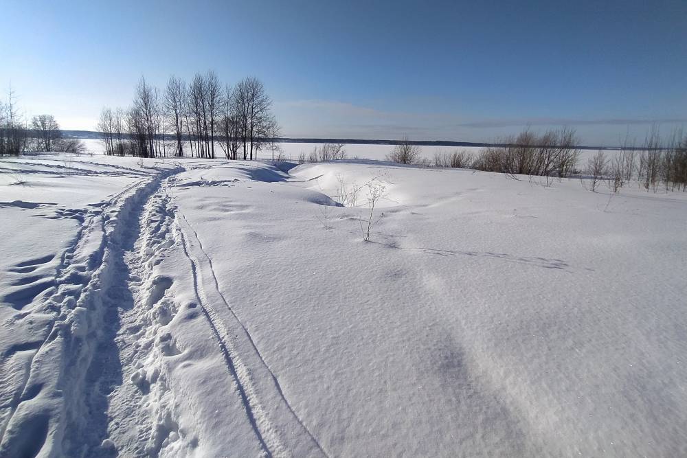 В начале недели в Пермском крае ожидается потепление