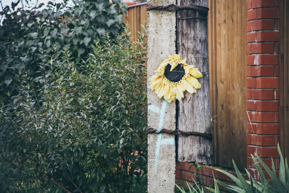 В Пермском крае зафиксировали ночные заморозки 