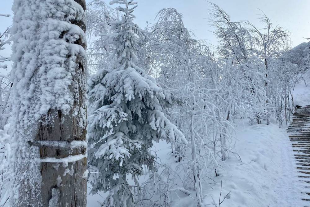 В Пермском крае ожидается длительное похолодание с морозами до -25…-30˚
