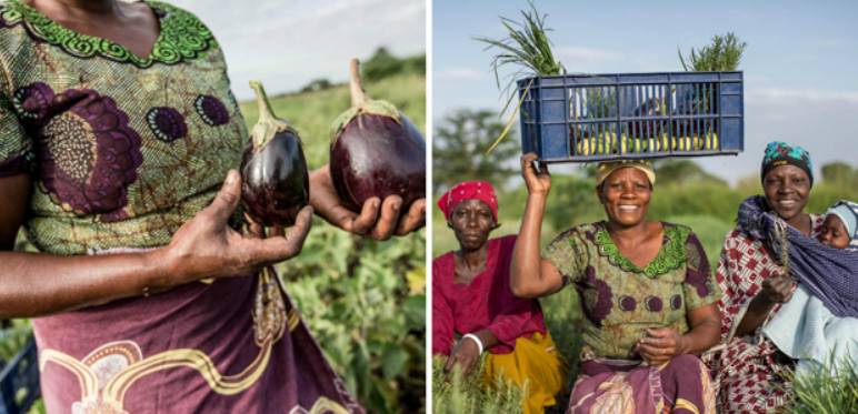 «Уралкалий» — участник проекта Action Africa: Thriving Farms, Thriving Future 