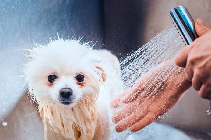 ПЗСП возведет дом в центре Перми у экстрим-парка